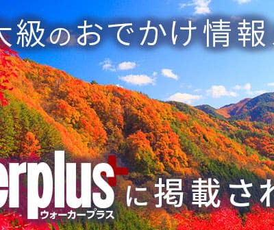 日本最大級のお出かけ情報メディア「ウォーカープラス」に掲載されました!